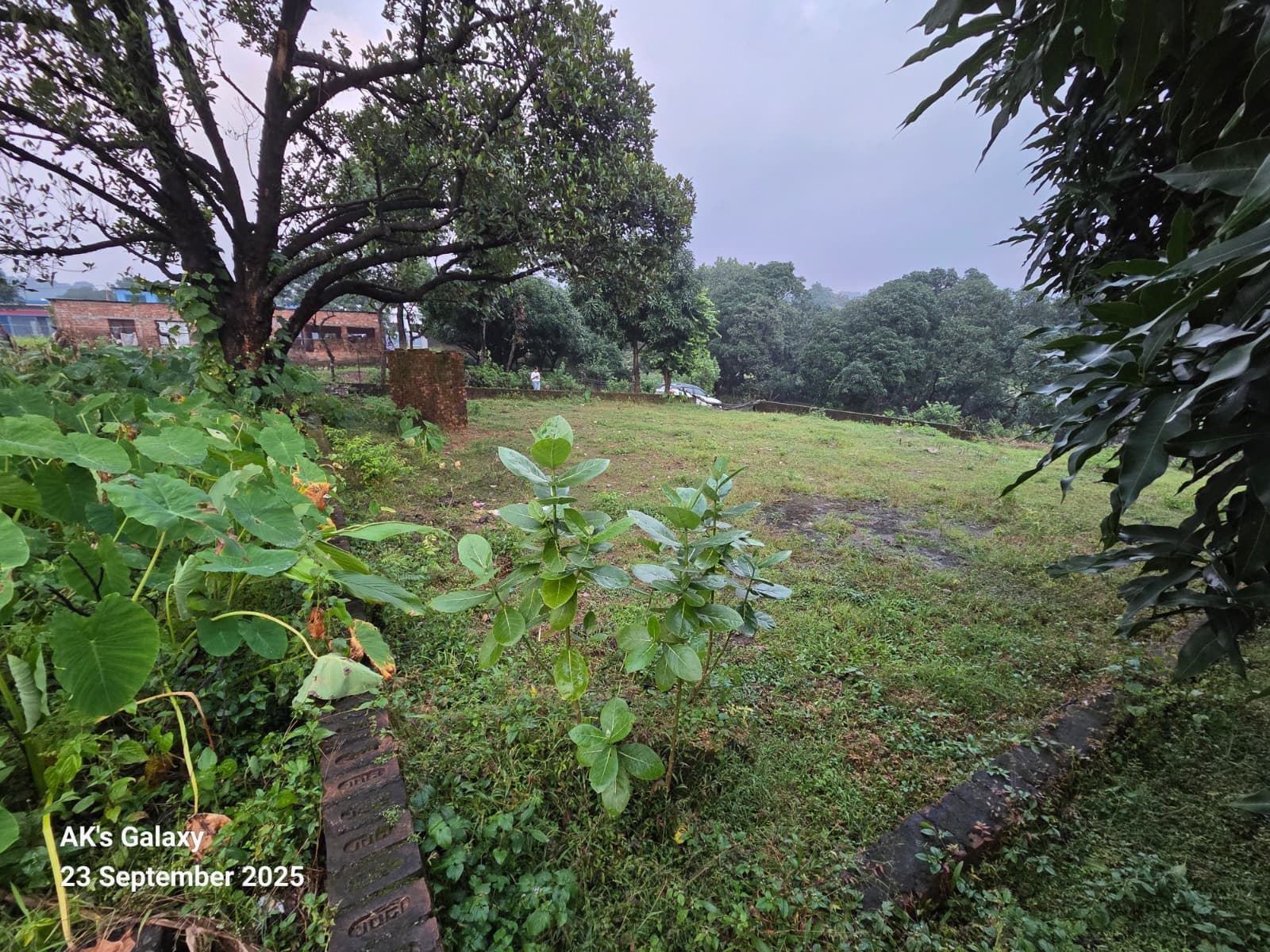 530 Gaj North-East Corner Plot for Sale in Thano, Dehradun | Near Jolly Grant Airport photo 2